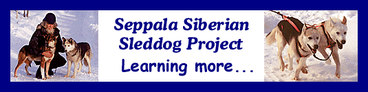 Learning More About Siberian Husky Bloodlines, an educational service sponsored by the Seppala Siberian Sleddog Project in Canada's Yukon Territory